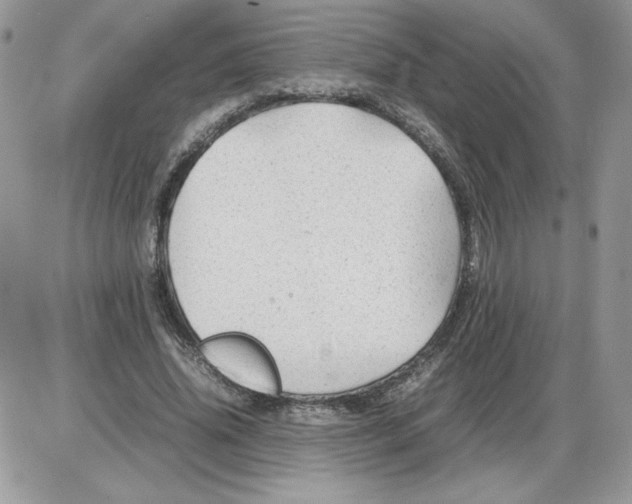 X0000086080636200704202152