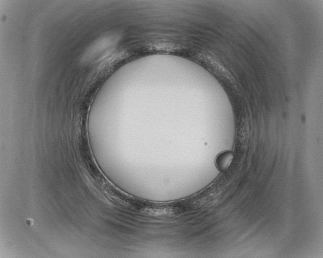 X0000086080639200704202152