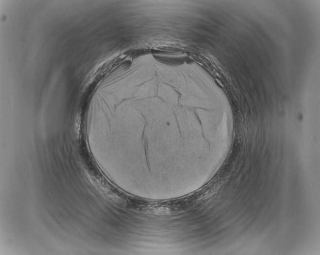 X0000086080640200704202152