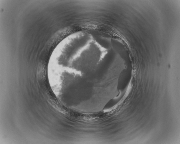 X0000086080641200704202152