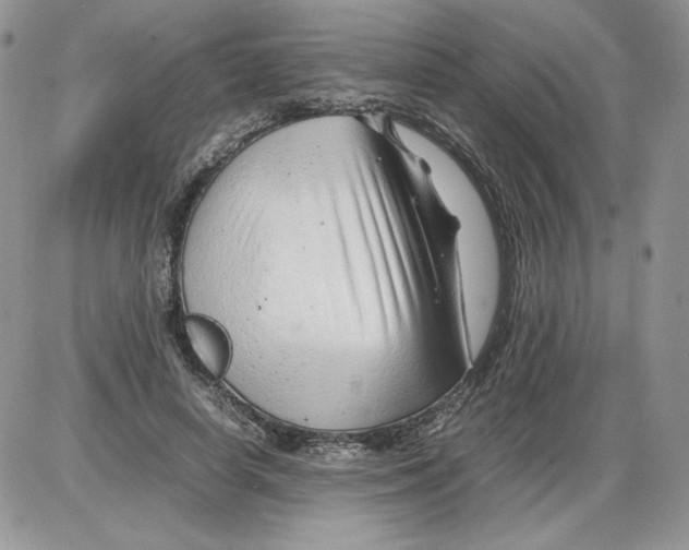 X0000086080642200704202152