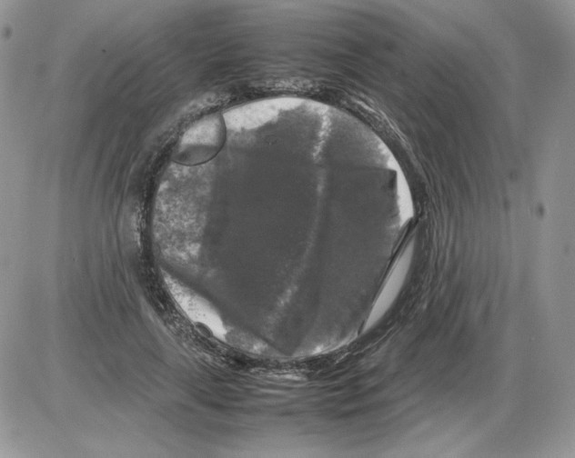 X0000086080643200704202152