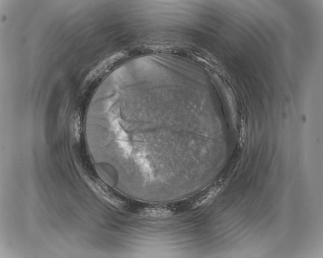 X0000086080644200704202152