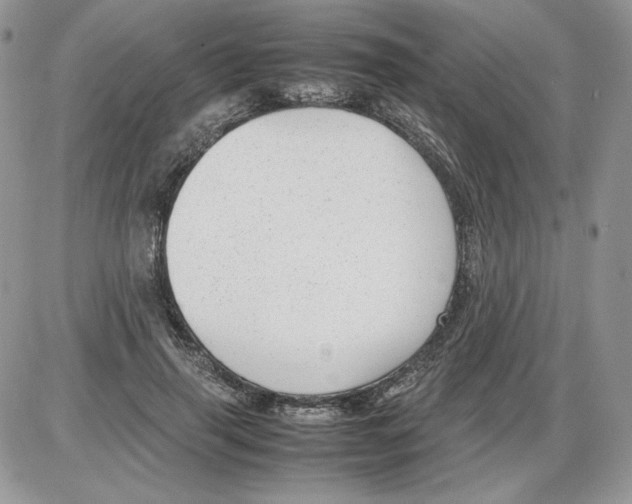 X0000086080645200704202152