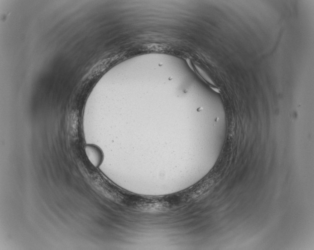 X0000086080646200704202152