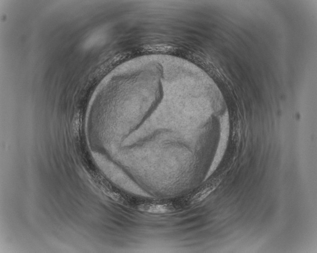 X0000086080647200704202152