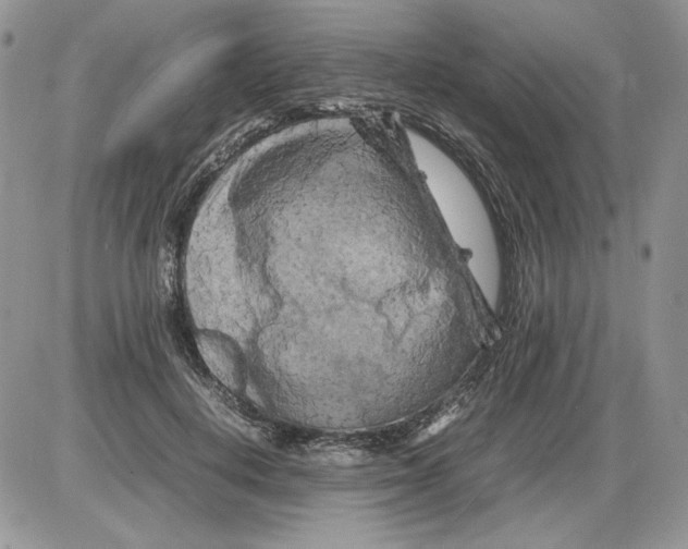 X0000086080648200704202152