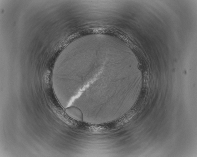 X0000086080650200704202152