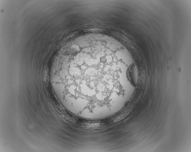 X0000086080651200704202152