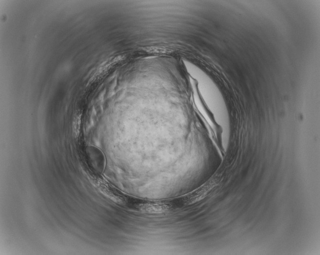 X0000086080652200704202152