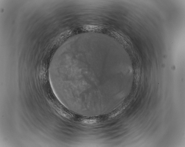 X0000086080653200704202152