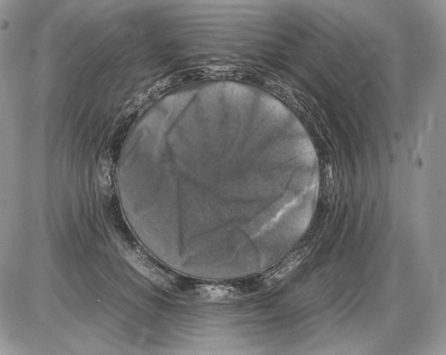 X0000086080654200704202152