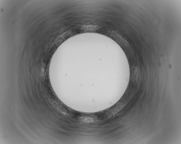 X0000086080655200704202152