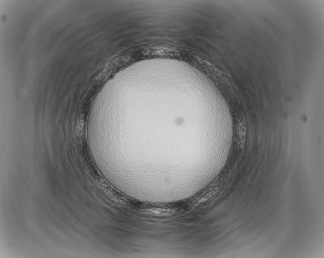 X0000086080657200704202152