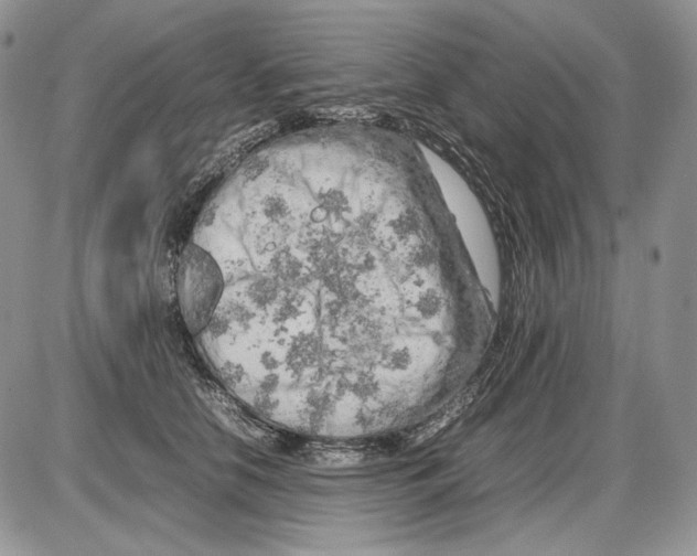 X0000086080658200704202152