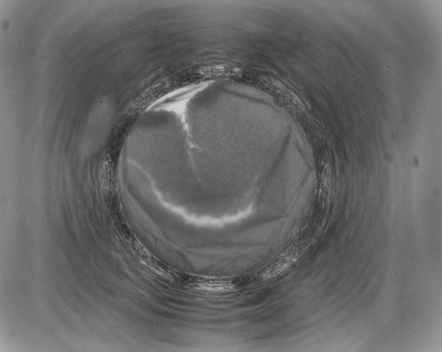 X0000086080659200704202152