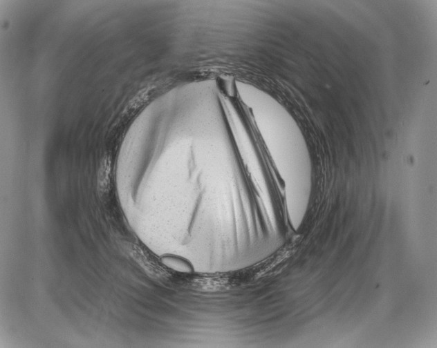 X0000086080660200704202152