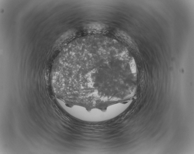 X0000086080661200704202152