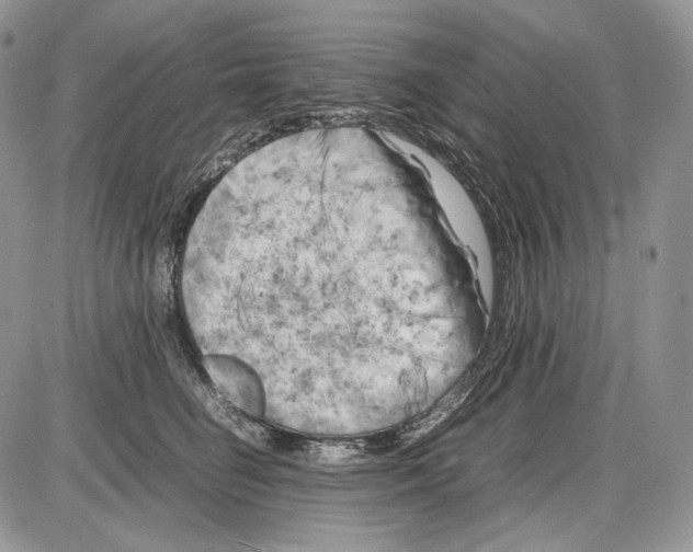 X0000086080662200704202152