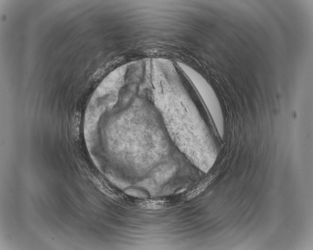 X0000086080664200704202152