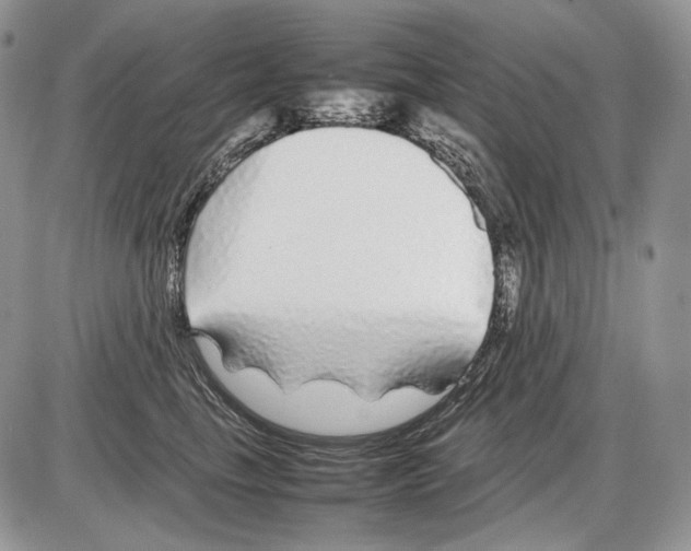 X0000086080665200704202152