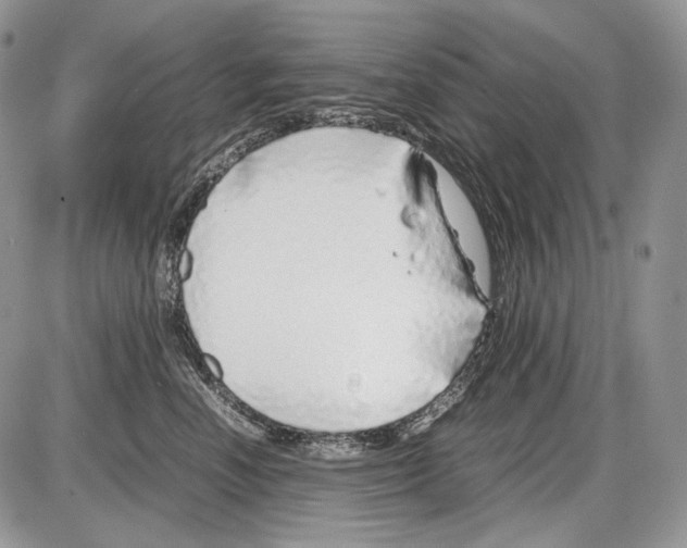 X0000086080666200704202152