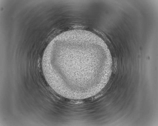 X0000086080667200704202152