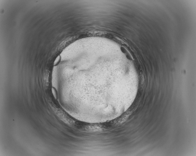 X0000086080668200704202152