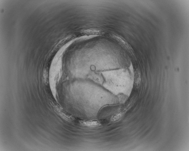 X0000086080669200704202152