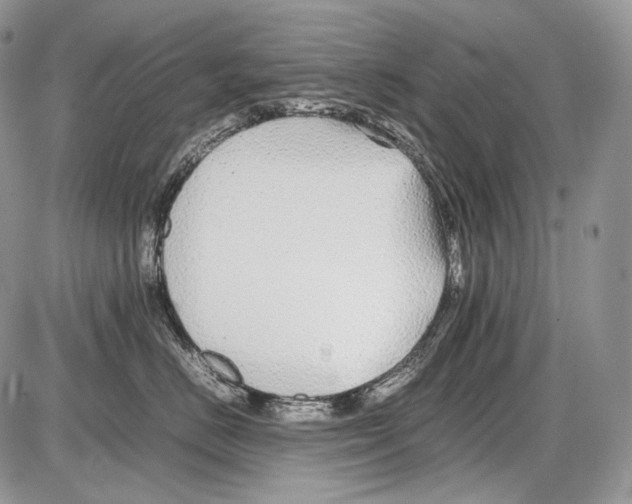 X0000086080670200704202152