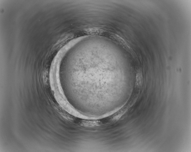 X0000086080671200704202152