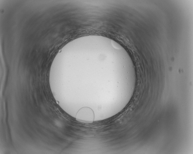 X0000086080672200704202152