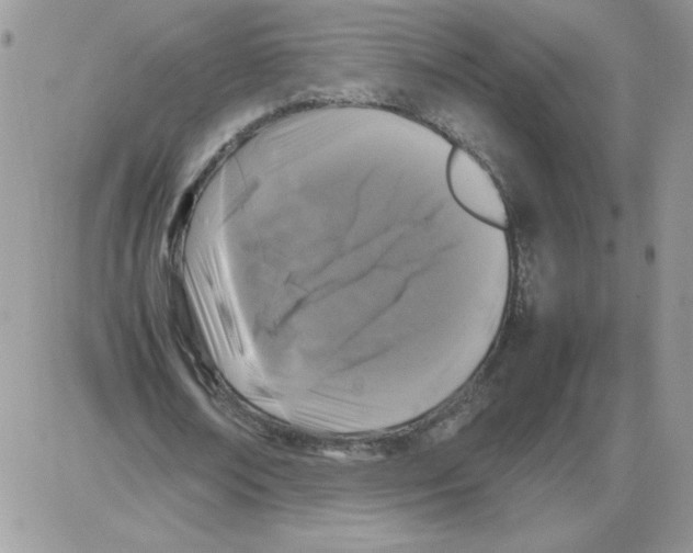 X0000086080674200704202152