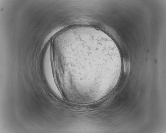 X0000086080675200704202152