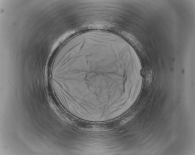 X0000086080678200704202152