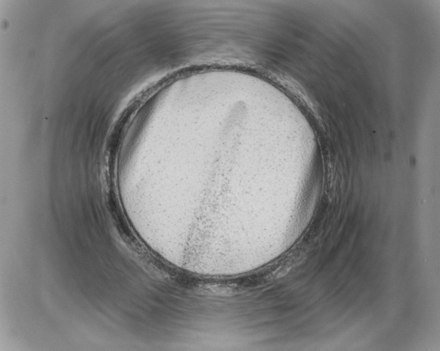 X0000086080680200704202152