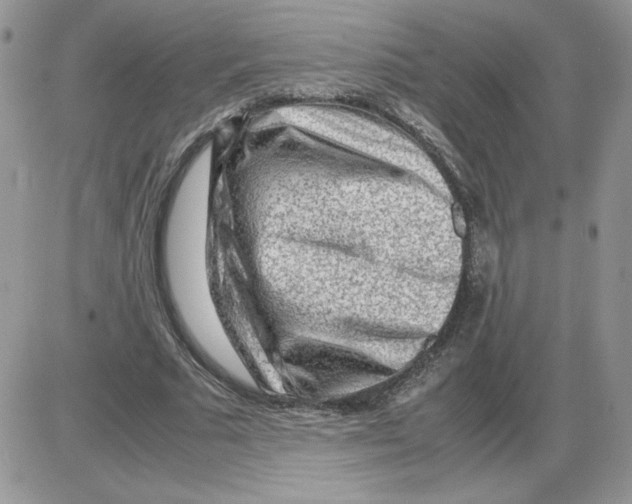 X0000086080681200704202152