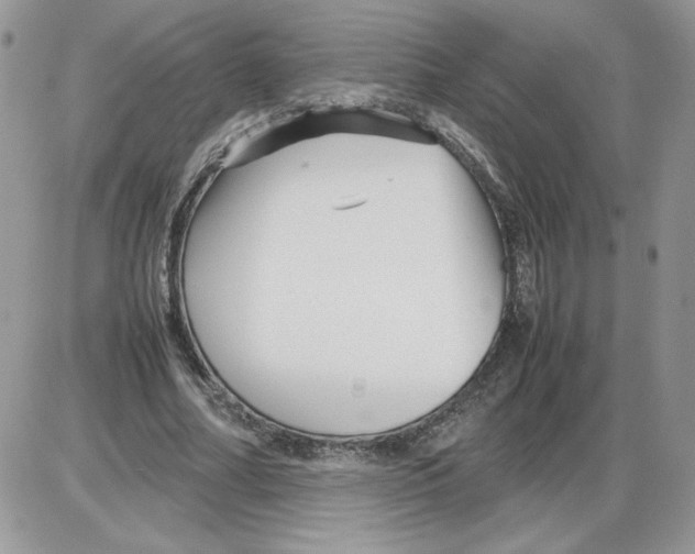 X0000086080682200704202152