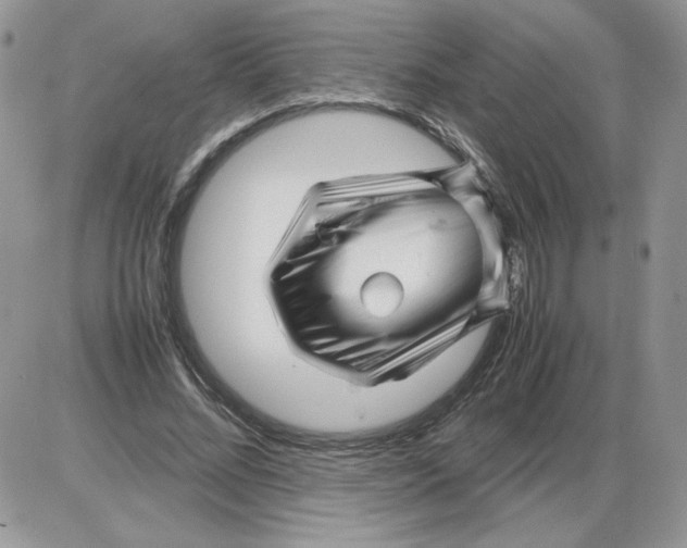 X0000086080684200704202152