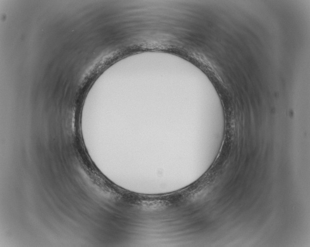 X0000086080686200704202152