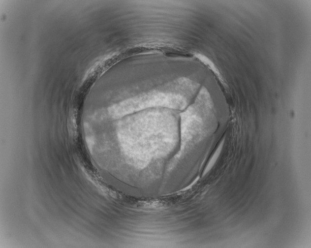 X0000086080688200704202151