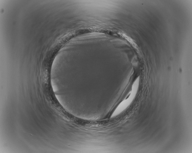 X0000086080689200704202151