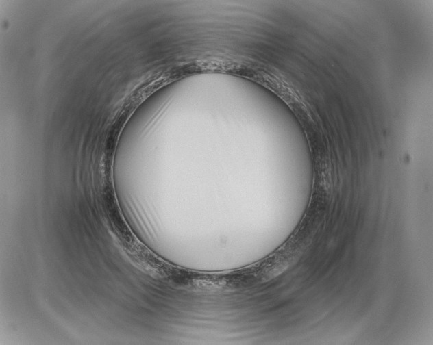 X0000086080690200704202151