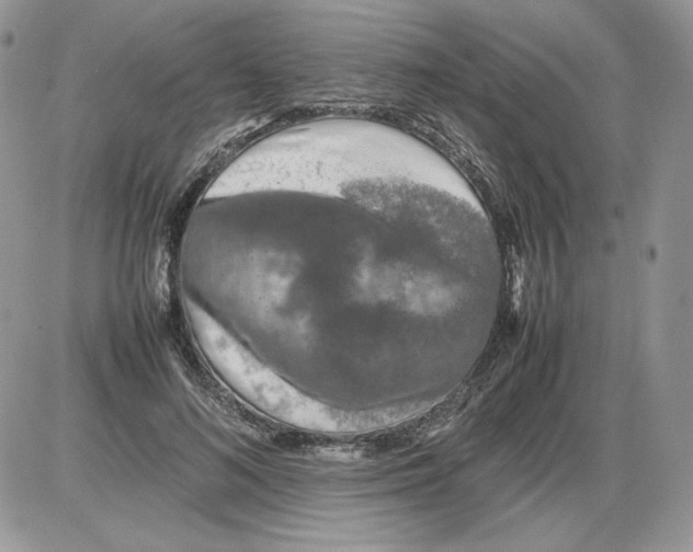 X0000086080692200704202151