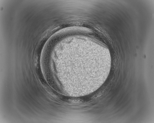 X0000086080693200704202151