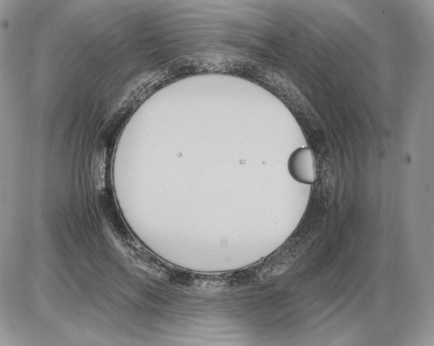 X0000086080694200704202151