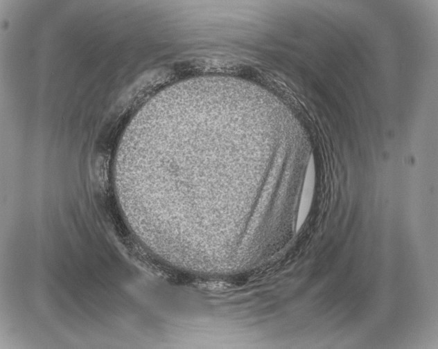 X0000086080695200704202151