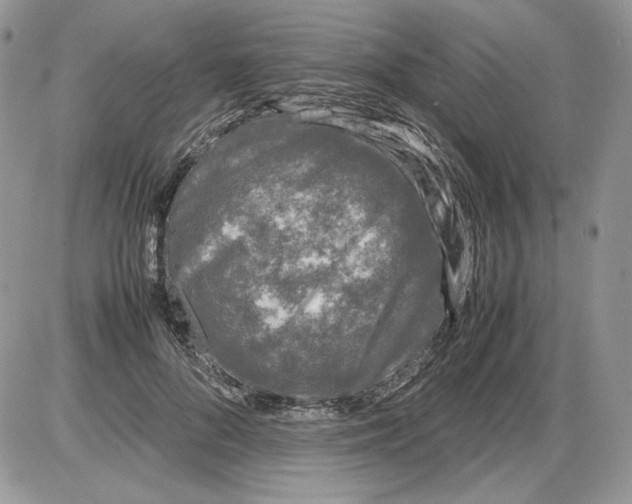 X0000086080696200704202151