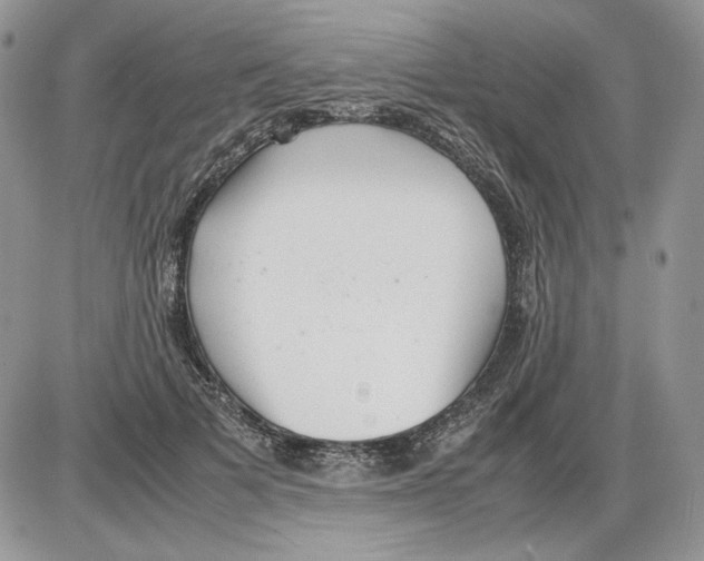 X0000086080697200704202151