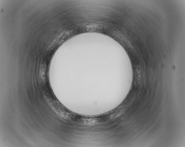 X0000086080698200704202151